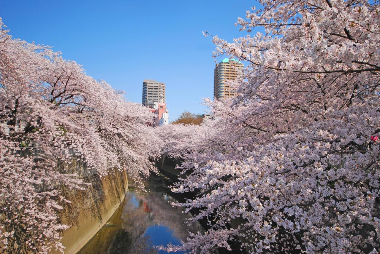 Sotetsu Fresa Inn Tokyo Kanda Exteriör bild